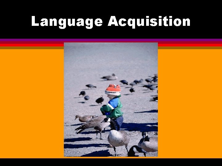 Language Acquisition 