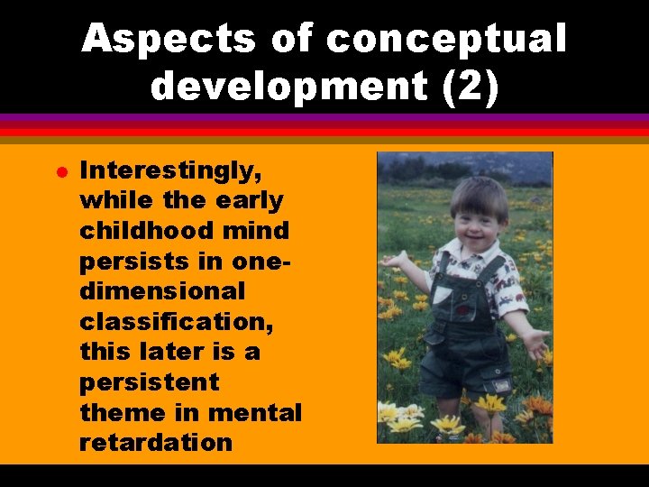 Aspects of conceptual development (2) l Interestingly, while the early childhood mind persists in