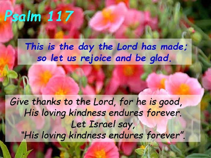 Psalm 117 This is the day the Lord has made; so let us rejoice