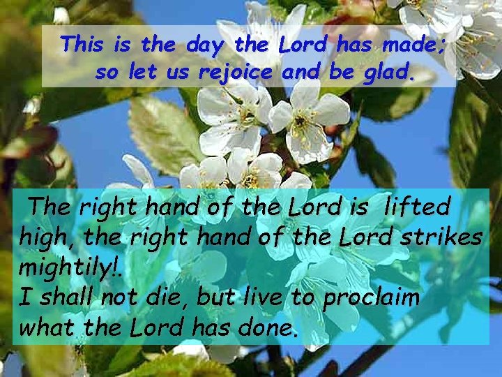 This is the day the Lord has made; so let us rejoice and be