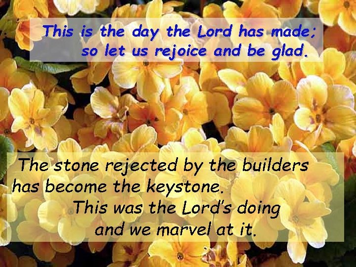 This is the day the Lord has made; so let us rejoice and be