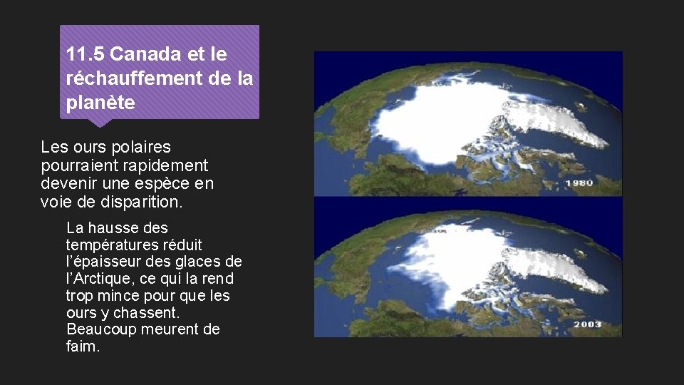 11. 5 Canada et le réchauffement de la planète Les ours polaires pourraient rapidement