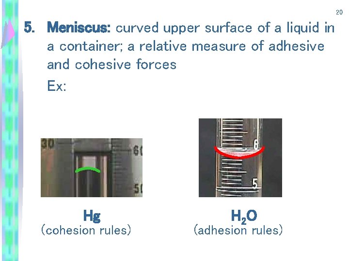 20 5. Meniscus: curved upper surface of a liquid in a container; a relative