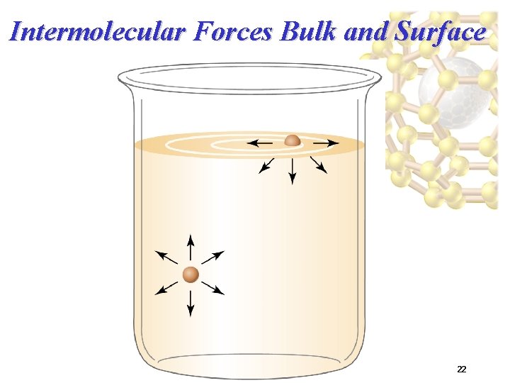 Intermolecular Forces Bulk and Surface 22 