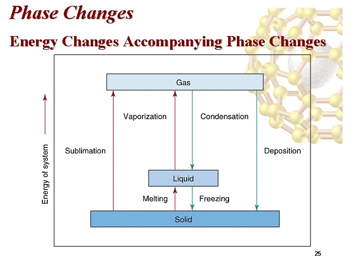 Phase Changes Energy Changes Accompanying Phase Changes 25 
