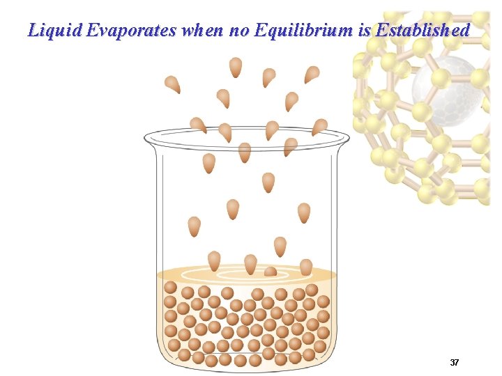 Liquid Evaporates when no Equilibrium is Established 37 