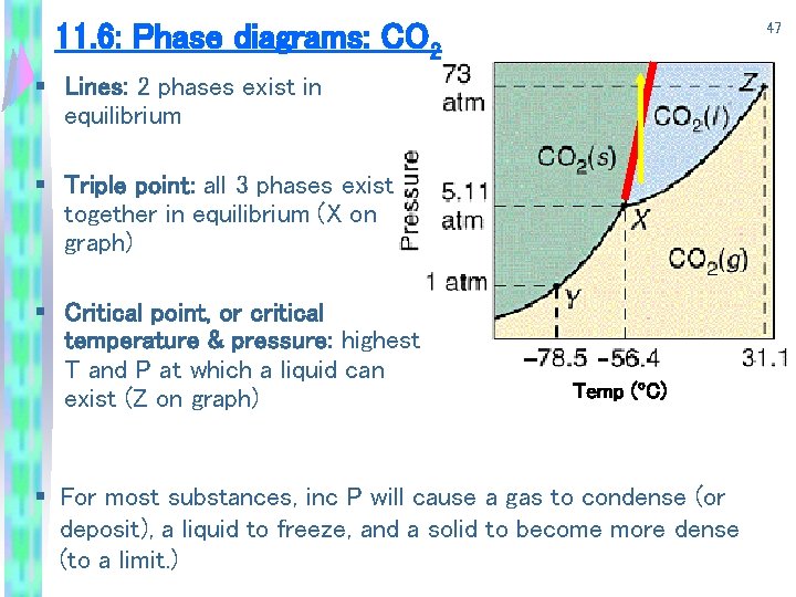 11. 6: Phase diagrams: CO 2 47 § Lines: 2 phases exist in equilibrium