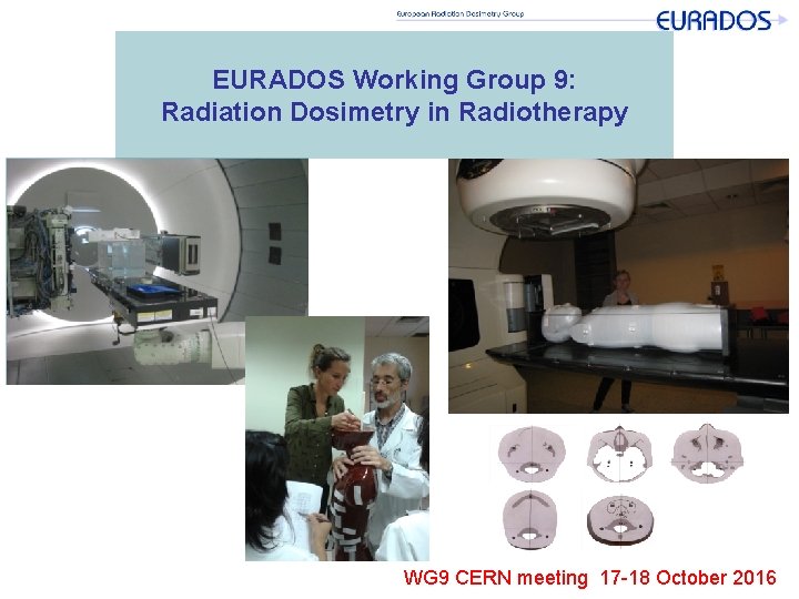 EURADOS Working Group 9: Radiation Dosimetry in Radiotherapy WG 9 CERN meeting 17 -18