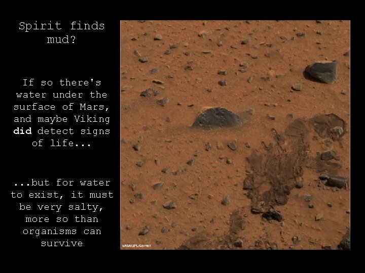 Spirit finds mud? If so there's water under the surface of Mars, and maybe Spirit finds mud? If so there's water under the surface of Mars, and maybe