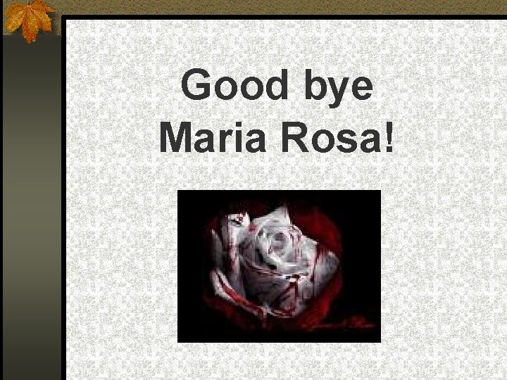 Good bye Maria Rosa! 