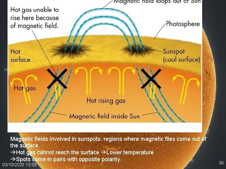 Magnetic fields involved in sunspots: regions where magnetic files come out of the surface.