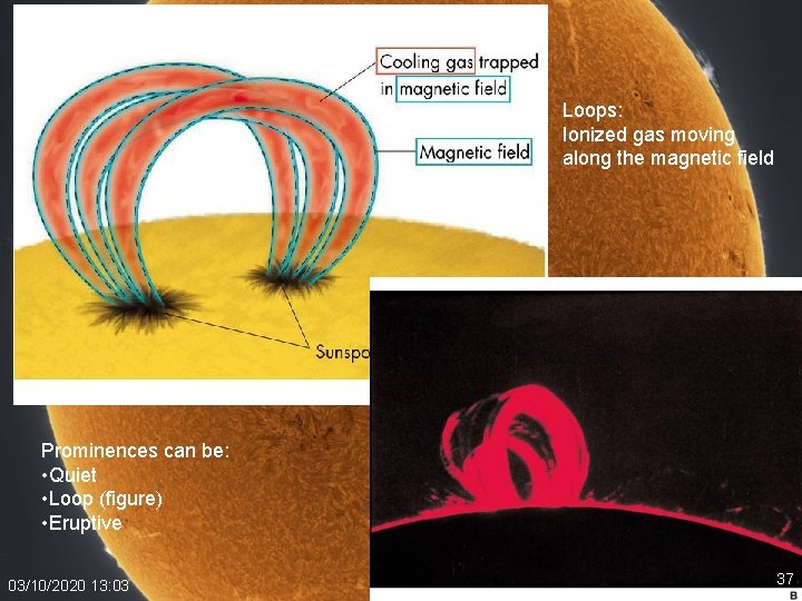 Loops: Ionized gas moving along the magnetic field Prominences can be: • Quiet •
