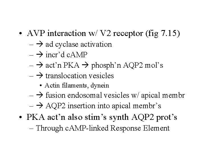  • AVP interaction w/ V 2 receptor (fig 7. 15) – ad cyclase