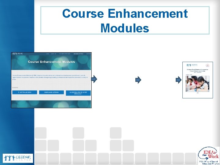 Course Enhancement Modules 