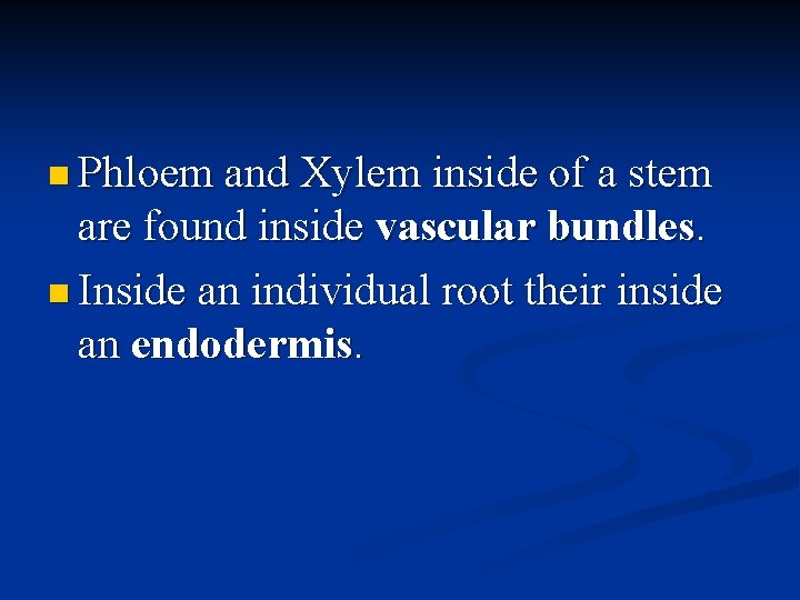 n Phloem and Xylem inside of a stem are found inside vascular bundles. n