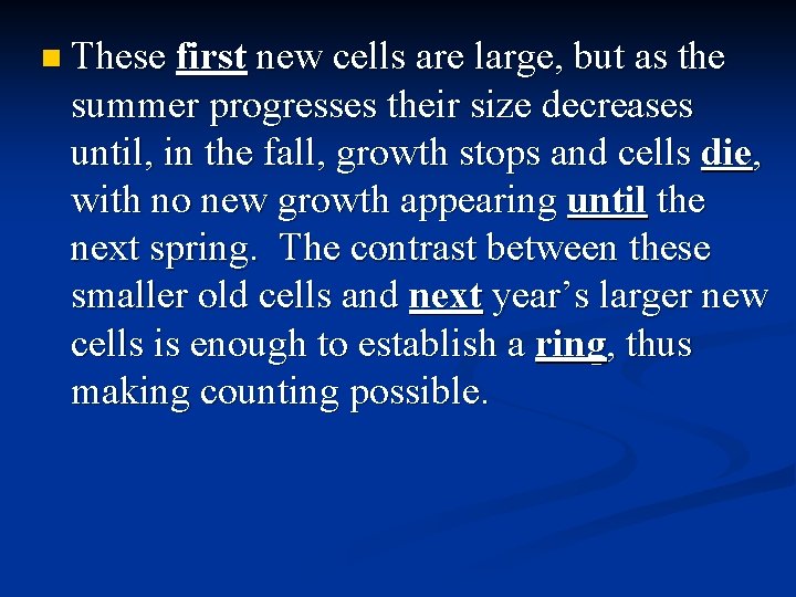 n These first new cells are large, but as the summer progresses their size