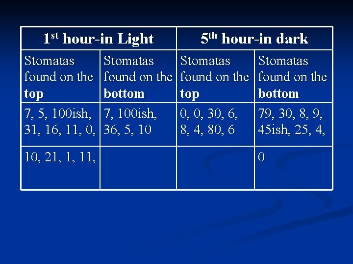 1 st hour-in Light Stomatas found on the top 7, 5, 100 ish, 31,