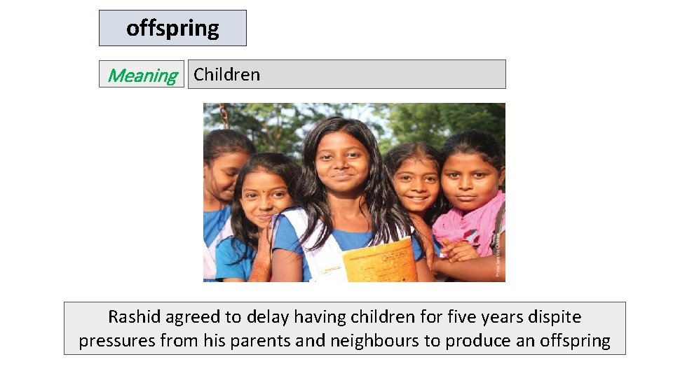 offspring Meaning Children Rashid agreed to delay having children for five years dispite pressures