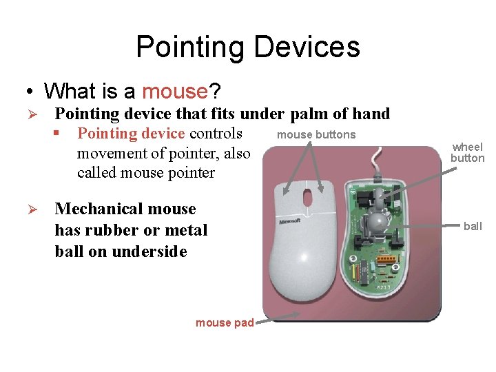 Pointing Devices • What is a mouse? Ø Pointing device that fits under palm Pointing Devices • What is a mouse? Ø Pointing device that fits under palm