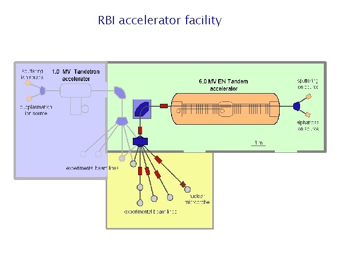 RBI accelerator facility 