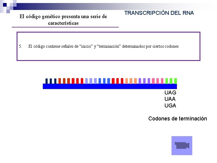 El código genético presenta una serie de características 5. TRANSCRIPCIÓN DEL RNA El código El código genético presenta una serie de características 5. TRANSCRIPCIÓN DEL RNA El código
