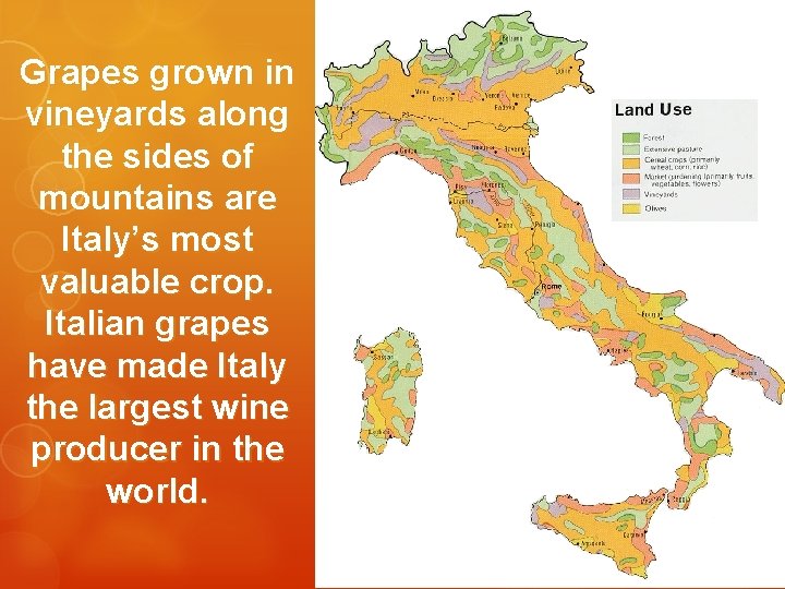 Grapes grown in vineyards along the sides of mountains are Italy’s most valuable crop. Grapes grown in vineyards along the sides of mountains are Italy’s most valuable crop.