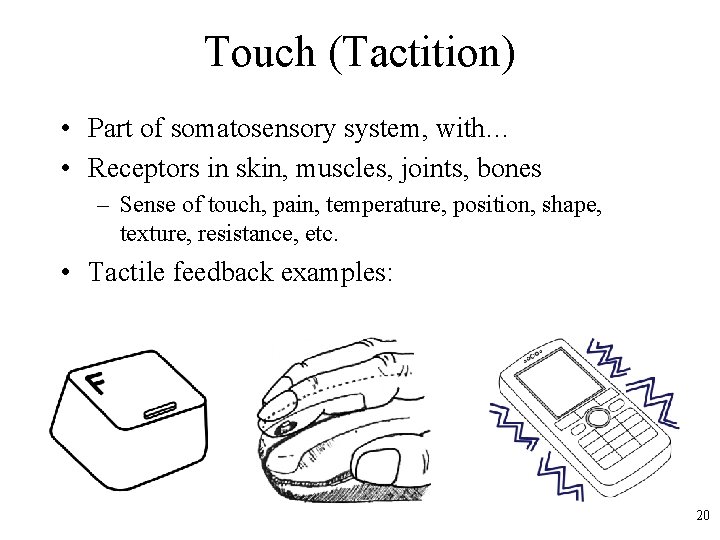 Touch (Tactition) • Part of somatosensory system, with… • Receptors in skin, muscles, joints,