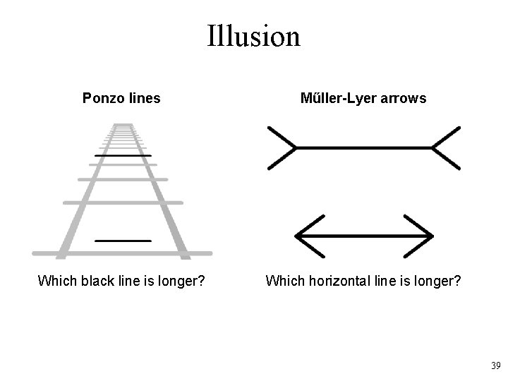 Illusion Ponzo lines Műller-Lyer arrows Which black line is longer? Which horizontal line is