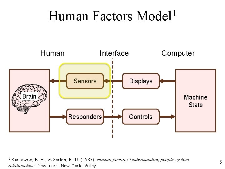 Human Factors Model 1 Human Interface Sensors Computer Displays Brain Machine State Responders Controls