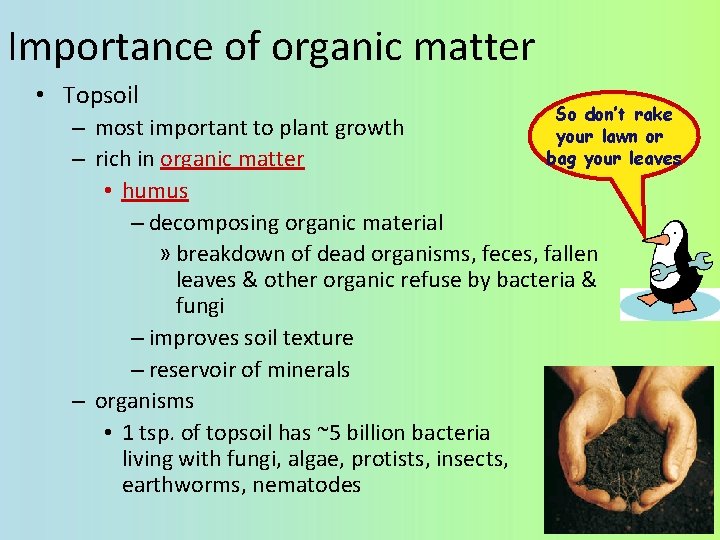 Importance of organic matter • Topsoil So don’t rake – most important to plant