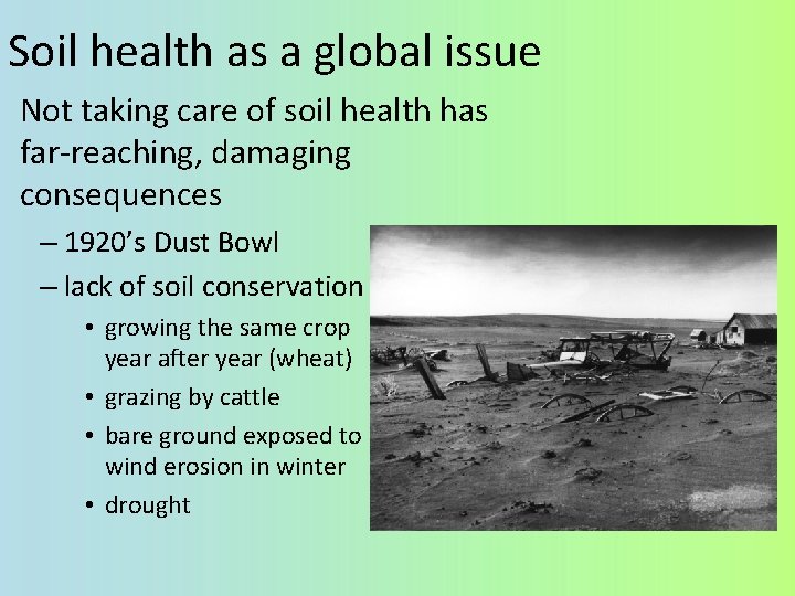 Soil health as a global issue Not taking care of soil health has far-reaching,