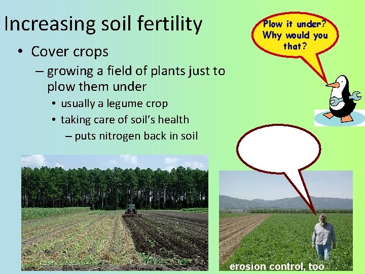 Increasing soil fertility • Cover crops Plow it under? Why would you that? –