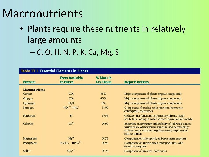 Macronutrients • Plants require these nutrients in relatively large amounts – C, O, H,