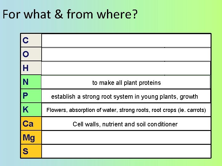 For what & from where? C macromolecule synthesis CO 2 O macromolecule synthesis CO