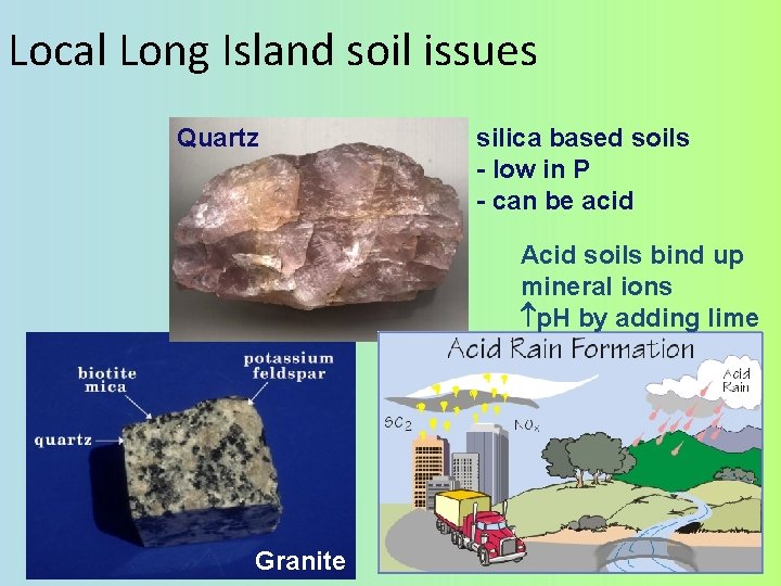 Local Long Island soil issues Quartz silica based soils - low in P -