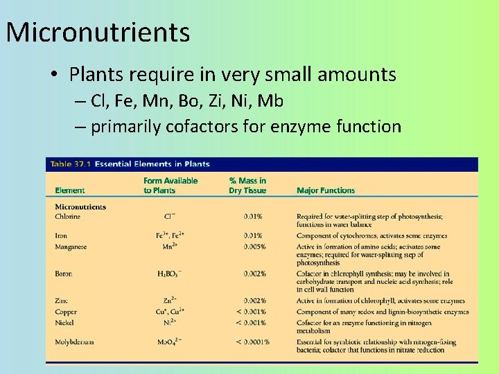 Micronutrients • Plants require in very small amounts – Cl, Fe, Mn, Bo, Zi,