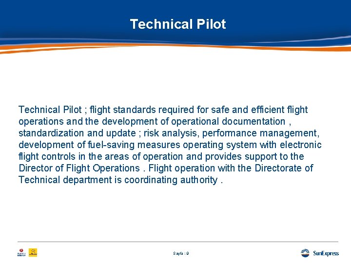 Technical Pilot ; flight standards required for safe and efficient flight operations and the