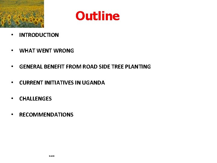 Outline • INTRODUCTION • WHAT WENT WRONG • GENERAL BENEFIT FROM ROAD SIDE TREE