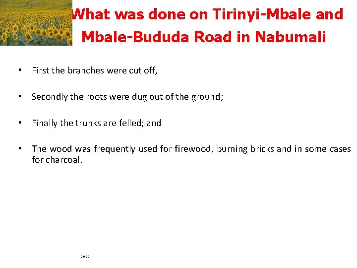 What was done on Tirinyi-Mbale and Mbale-Bududa Road in Nabumali • First the branches
