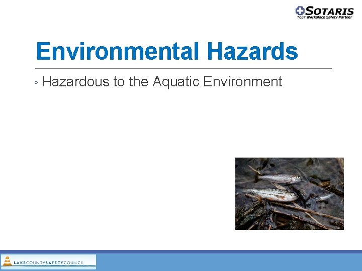 Environmental Hazards ◦ Hazardous to the Aquatic Environment Environmental Hazards ◦ Hazardous to the Aquatic Environment