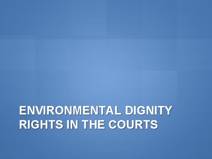 ENVIRONMENTAL DIGNITY RIGHTS IN THE COURTS 