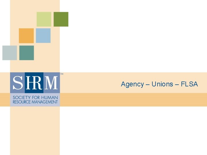 Agency – Unions – FLSA 