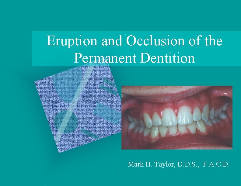 Eruption and Occlusion of the Permanent Dentition Mark H. Taylor, D. D. S. ,