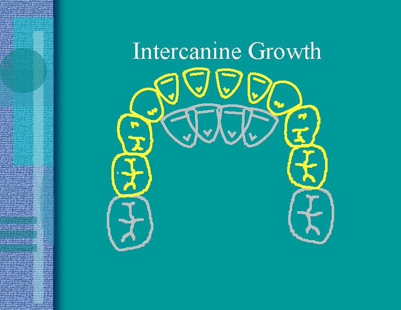 Intercanine Growth 