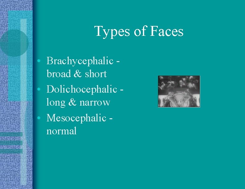 Types of Faces • Brachycephalic broad & short • Dolichocephalic long & narrow •