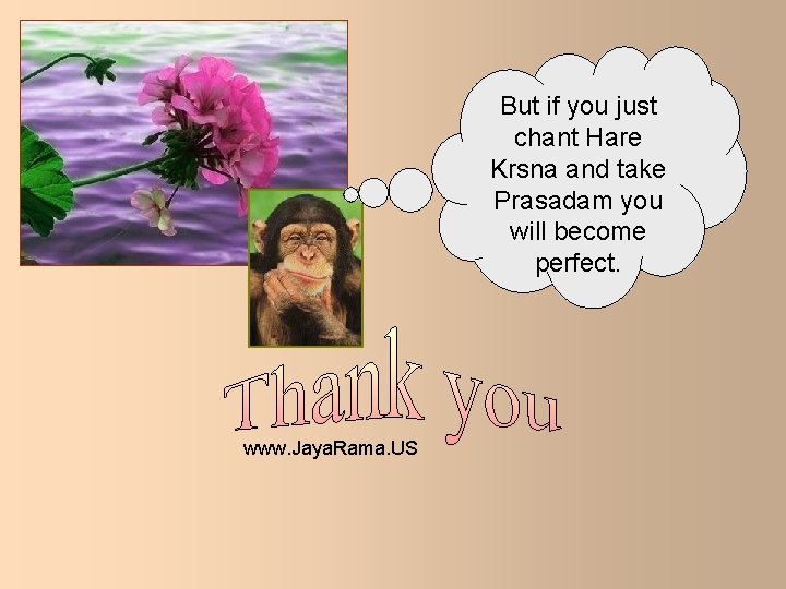 But if you just chant Hare Krsna and take Prasadam you will become perfect.