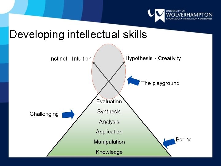 Developing intellectual skills 