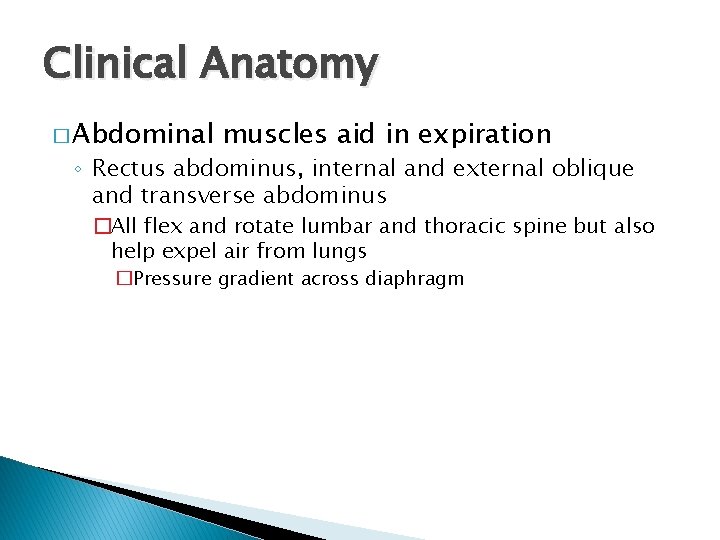 Clinical Anatomy � Abdominal muscles aid in expiration ◦ Rectus abdominus, internal and external