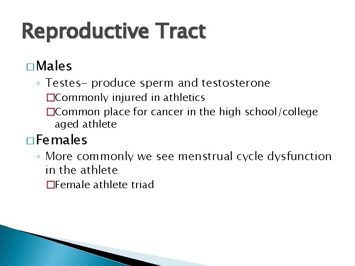 Reproductive Tract � Males ◦ Testes- produce sperm and testosterone �Commonly injured in athletics