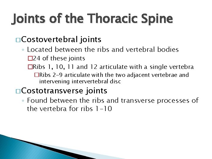 Joints of the Thoracic Spine � Costovertebral joints ◦ Located between the ribs and
